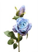 Róża Gałązkowa Premium – Lodowy Błękit / Denim Blue – Unikalny Kolor