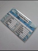 Wydatki roczne karty wydatków binder A6