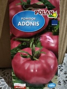 Pomidor 'Adonis'