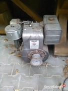 Silnik Briggs & Stratton 