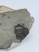 Zbliżniaczenia pirytu typu "Żelazny krzyż" z Extertal Niemcy