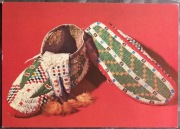 INDIANIN STROJE I TRADYCJA 