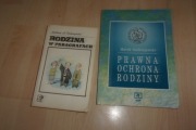 rodzina w paragrafach dobrzyński prawna ochrona rodziny andrzejewski