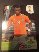 WORLD CUP 2014 KALOU 101