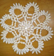 Boho Shell serwetka podstawka wykonana z naturalnych muszelek vintage