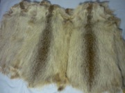 NOWE skóry naturalne wyprawione z nutrii szt.16 