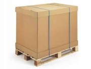 PALETA AMAZON BC DOM 