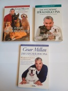 3 x Cesar Millan, Jak uszczęśliwić psa, Jak zostać przywódcą stada
