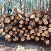 Stemple budowlane, słupki ogrodzeniowe,itp