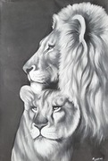 Para lwów- Duży akrylowy obraz na płótnie 80x120cm
