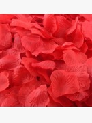CZERWONE PŁATKI RÓŻ