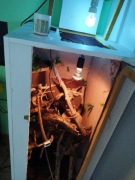 Terrarium dla kameleona. DUZE 60x64x136