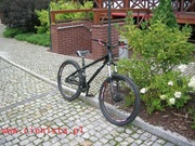 Ekstremalny NSX NORTSHORE STREETLEGAL 