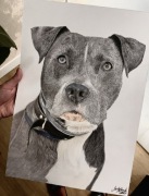 Karykatury Portrety Rysunki ze zdjęcia 