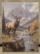 Piękny obraz myśliwski JELEŃ BYK Rykowisko. Polowanie. 30x40cm. Nowy