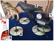 Zestaw na ptaki (gołębie) na balkon.