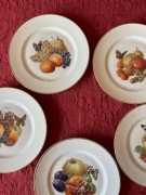 5 x talerz  Rosenthal owoce talerze szt 5