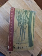 Śnieżyca - Iwan Szczegolichin