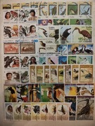 !!! KARTA Z KLASERA TEMATYCZNA - PTAKI !! 