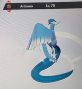 5 Losowych shiny w pokemon BDSP/sword/Home/Scarlet