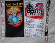 ŁKS Łódź Lech Poznań GKS Tychy Zawisza Bydgoszcz Cracovia Kraków 