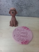 Z masy cukrowej na tort piesek plus tabliczka 