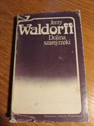 Dolina szarej rzeki Jerzy Waldorff