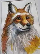 Fox , akwarela na papierze