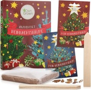 Own Grown Zestaw do uprawy choinki