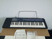 Organy CASIO CA-110