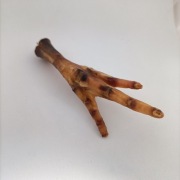 Kurze Łapki dla psa 50 sztuk 45 zł.