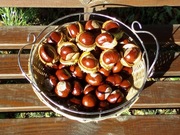 kasztany figurki nalewki ozdoby karma 