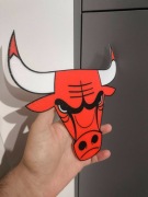 Chicago Bulls logo drużyny NBA