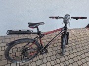 Rower męski Cruzzero 