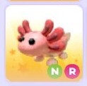 Adopt me! Axolotl NR (legendary)