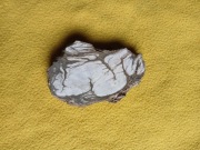 Trzewiowiec z Bochni [anhydryt]