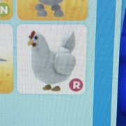 Chicken ride adopt me roblox