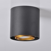 EGER | XENO GU10 lampa led okrągła czarno-złota