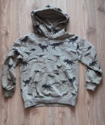 Bluza chłopięca w dinozaury H&M rozm.140 stan bdb
