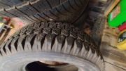 OPONA TERENOWA BRIDGESTONE RD 702 STEEL 195/R15 940 10mm