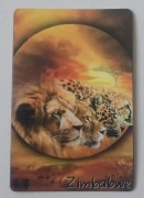 Magnes na lodówkę Afryka Zimbabwe Safari Kilimandżaro(31).