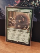 MTG: Ornery Tumblewagg [OTJ]