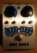 WAY HUGE ECHO-PUSS ANALOG DELAY