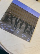 Mata 100 dni do matury Winyl