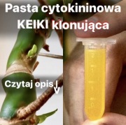 4 gramy! Pasta Cytokininowa KEIKI – Stymulator Wzrostu i Pąków Roślin 