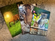 Teczki na rysunki A3 - 3 sztuki.