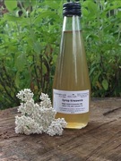 Syrop Krwawnik 300 ml