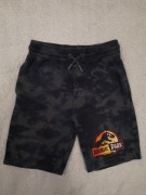 Kolorowe krótkie spodenki szorty dresowe Park Jurajski dinozaur Primark 146