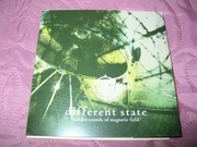 DIFFERENT STATE - Hidden Sounds Of Magnetic Field / TOTALNY UNIKAT / OKAZJA
