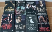 Kinga Litkowiec Bracia di Caro. Zestaw 8 książek.
